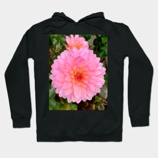 Monterey Floral Study 9 Hoodie